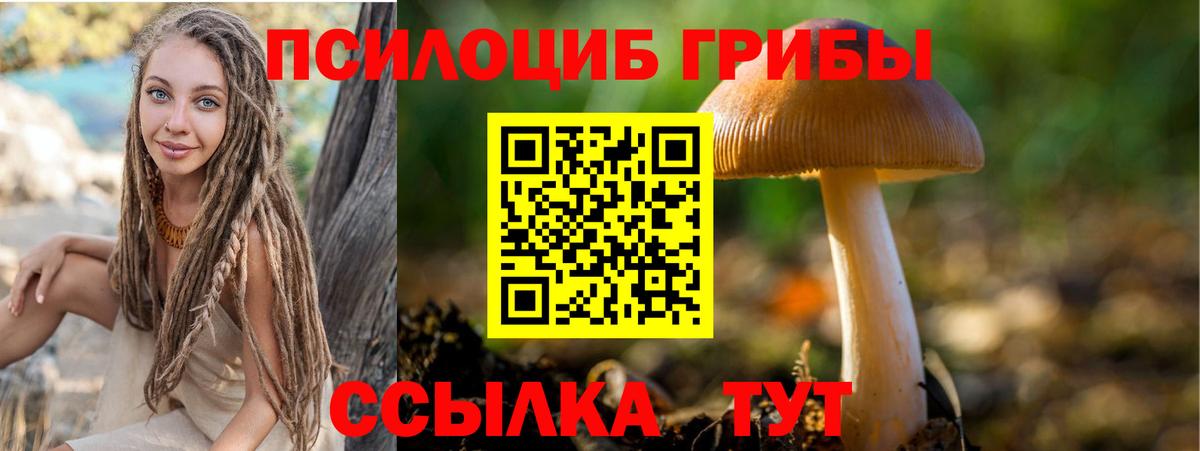 Псилоцибиновые грибы Скопин