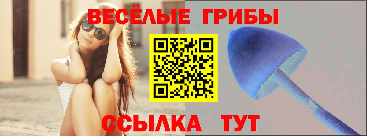 Галлюциногенные грибы Psilocybine cubensis Скопин